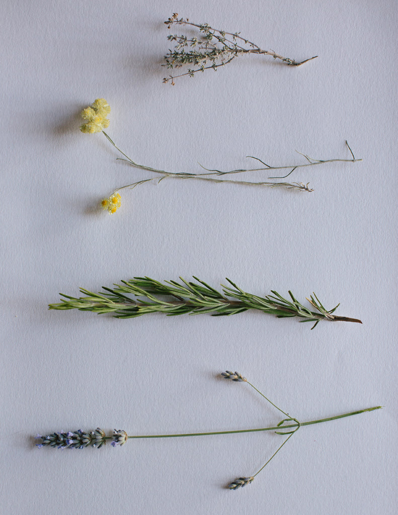 Terroirs and Tasting Notes